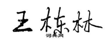 曾庆福王栋林行书个性签名怎么写