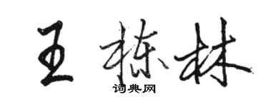 骆恒光王栋林行书个性签名怎么写