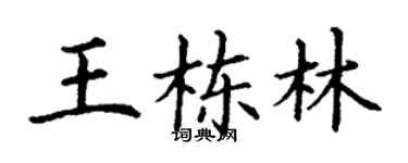 丁谦王栋林楷书个性签名怎么写