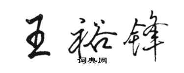 骆恒光王裕锋行书个性签名怎么写